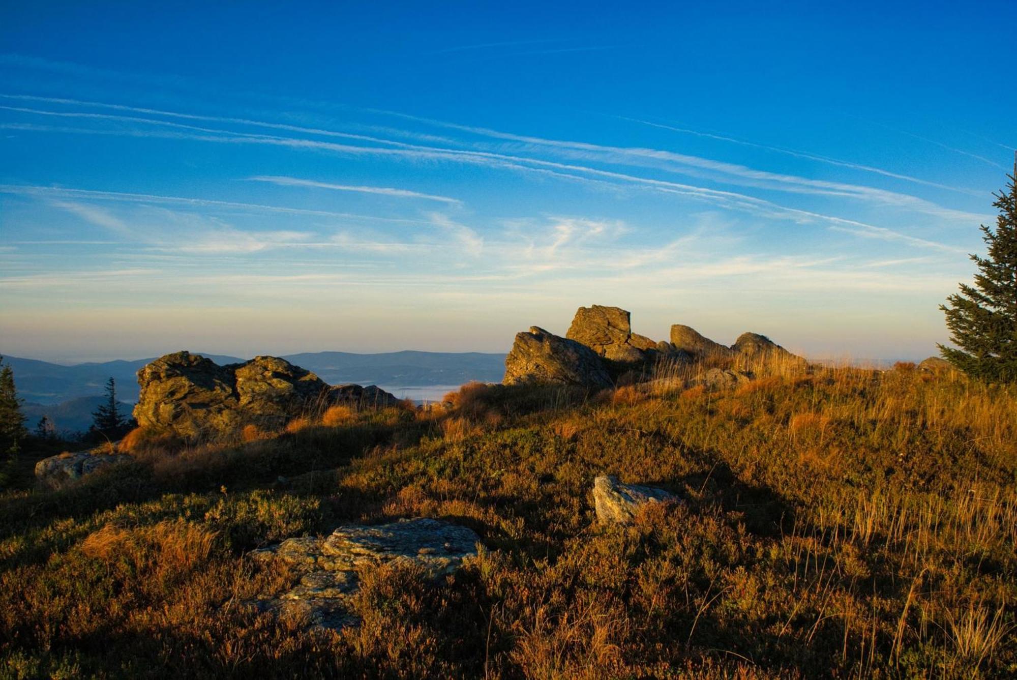 Waidlerland Waldkirchen Chalets Zewnętrze zdjęcie